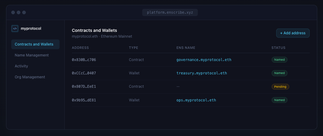 Contracts and wallets view